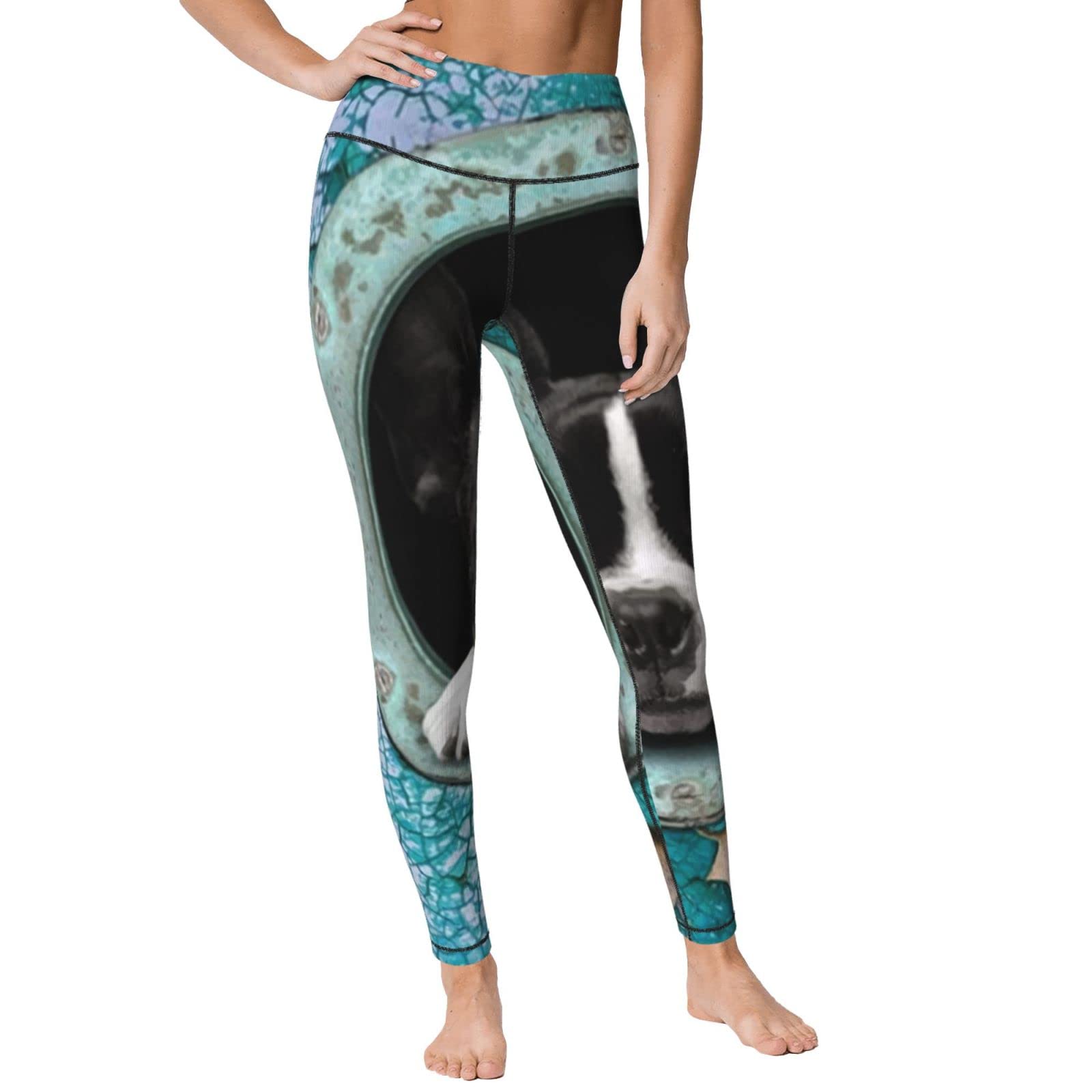 Stylish Boston Terrier Print Women's High Waist Yoga Pants - Capri Leggings for Workout, Running & Lounge Wear