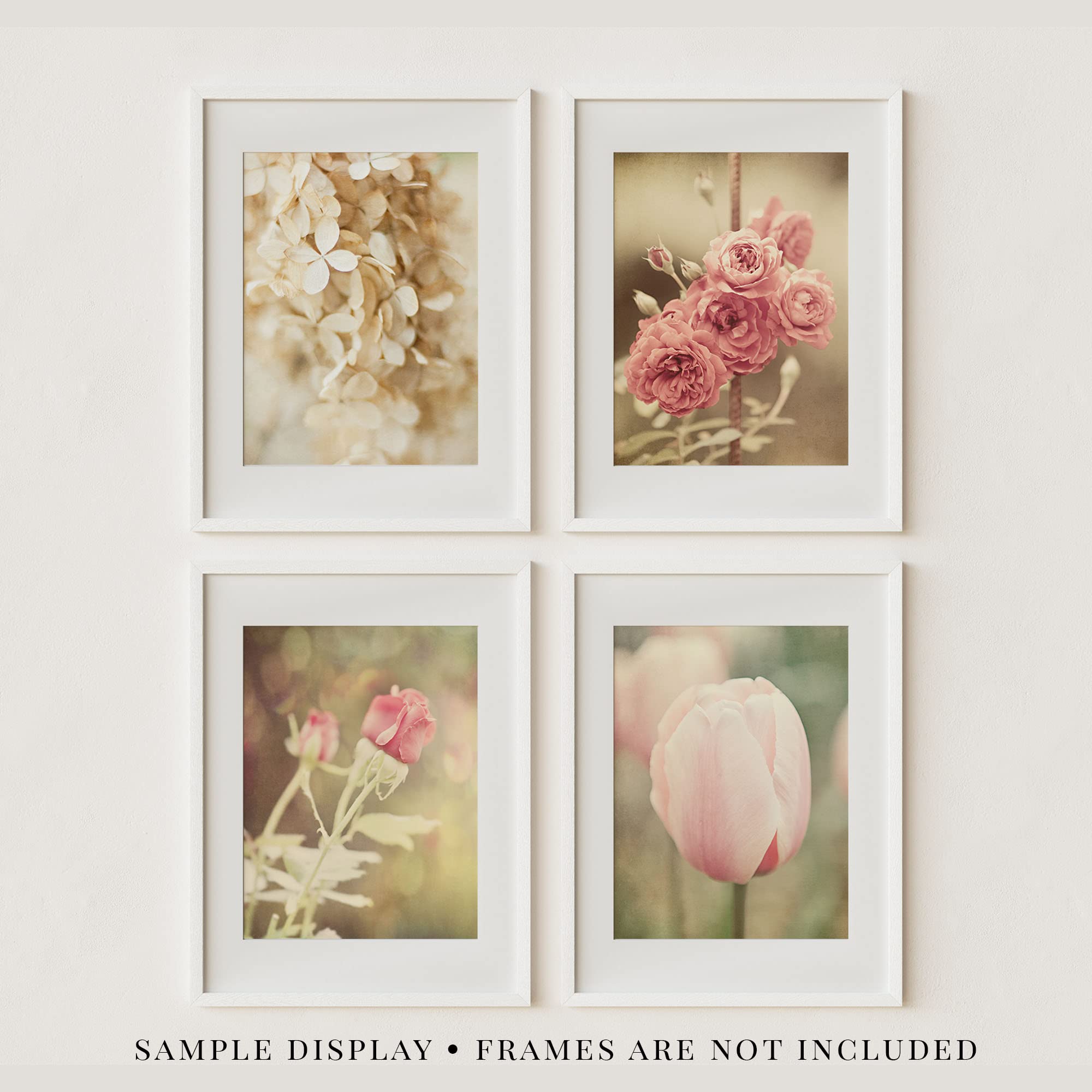 Pink and Off White Floral Art Prints - Set of 4 Unframed Wall Decor - Shabby Chic French Country Flower Pictures - Perfect for Bathroom, Bedroom, Nursery or Living Room - 8x10 Inches - Home Decor Gift Idea