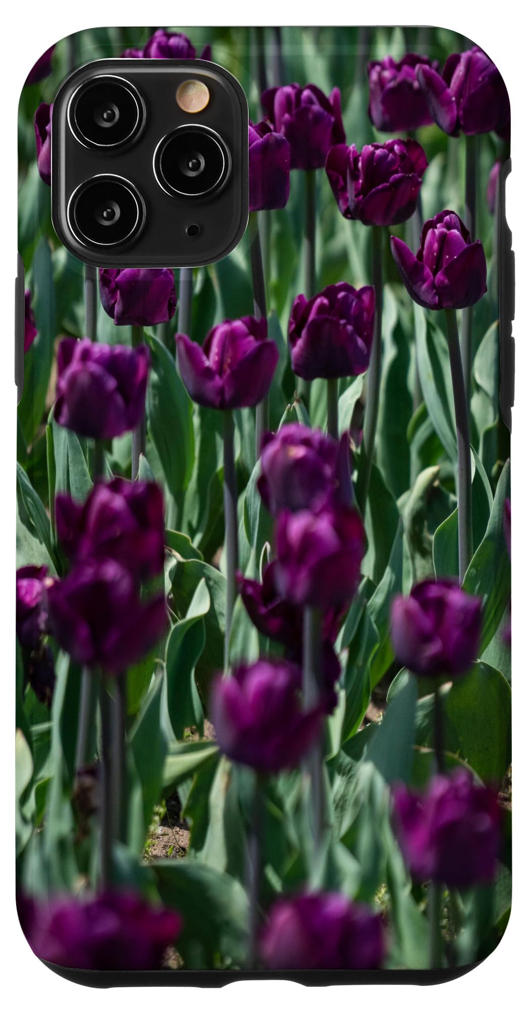 Premium iPhone 11 Pro Case - Purple Tulip Design | Shockproof & Slim Protective Cover | Perfect for Everyday Use, Travel & Outdoor Activities