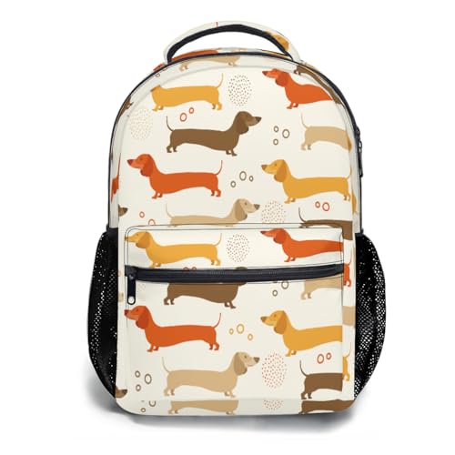 Dachshund