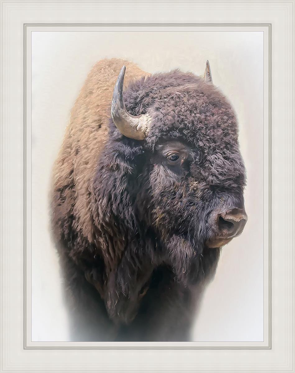 Bison By Matthew Grant | Premium Bison Meat & Jerky | High-Protein Snacks for Camping, Hiking & Outdoor Adventures