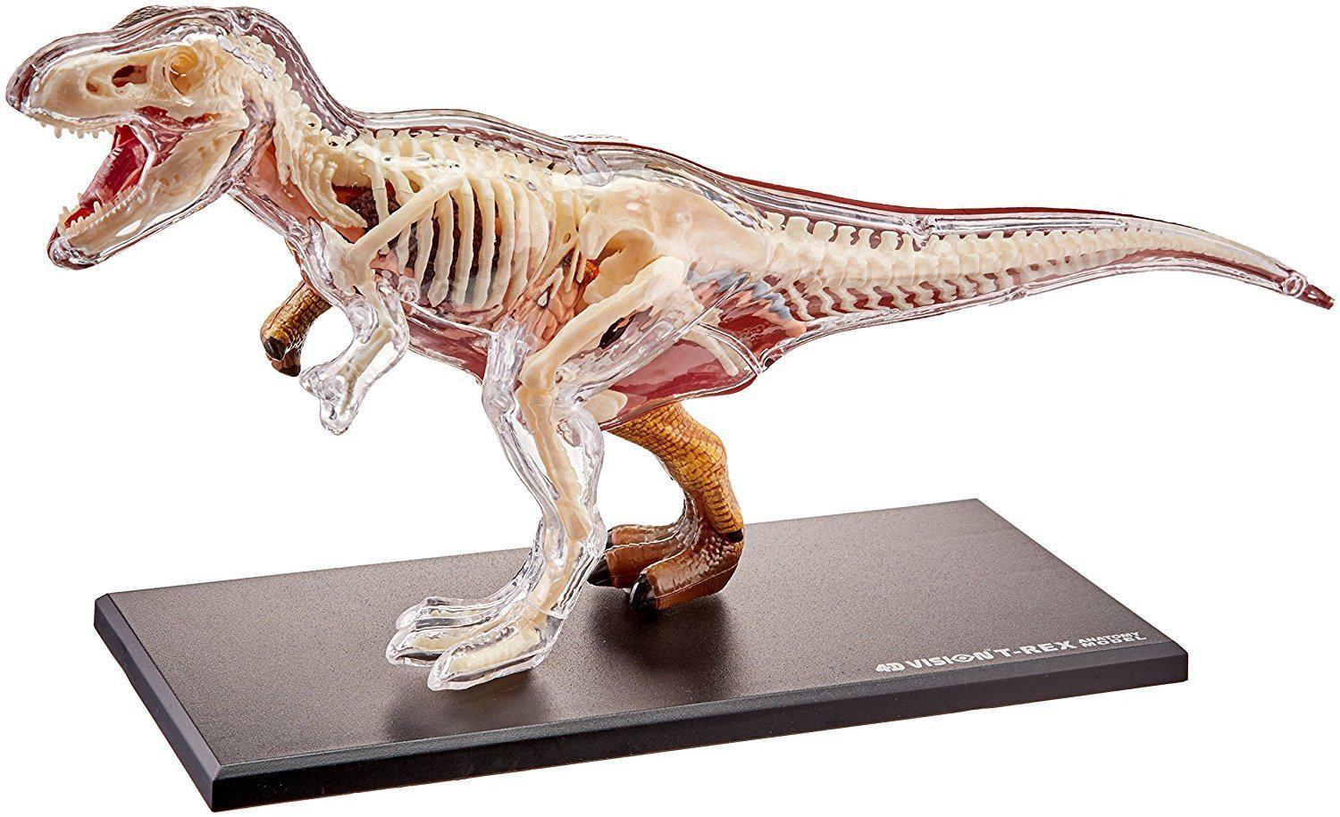 4D Vision T-Rex Dinosaur Model Kit - Realistic 3D Puzzle for Kids & Adults | Perfect for Science Projects, Educational Gifts & Home Decor
