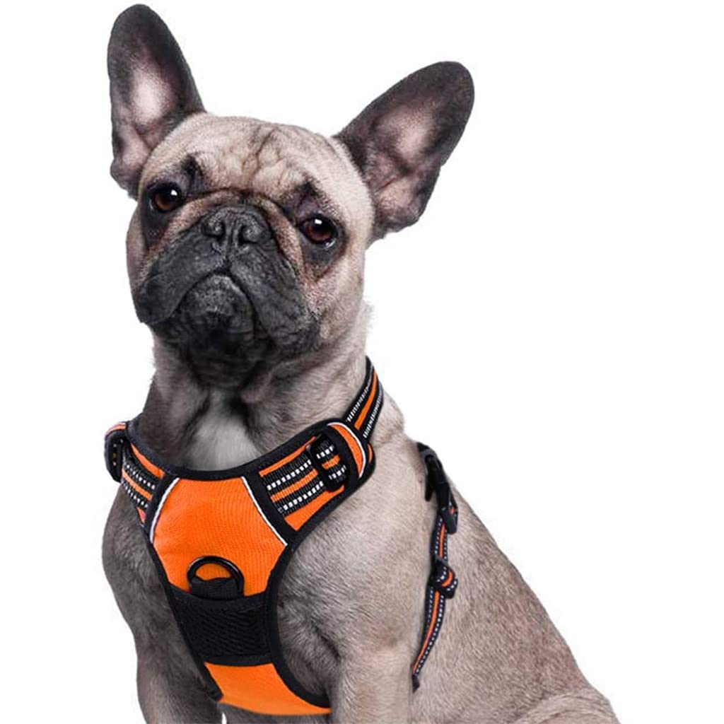 No Pull Dog Harness - Adjustable Soft Breathable Vest for Small Medium Large Dogs - Perfect for Walking, Training & Outdoor Adventures