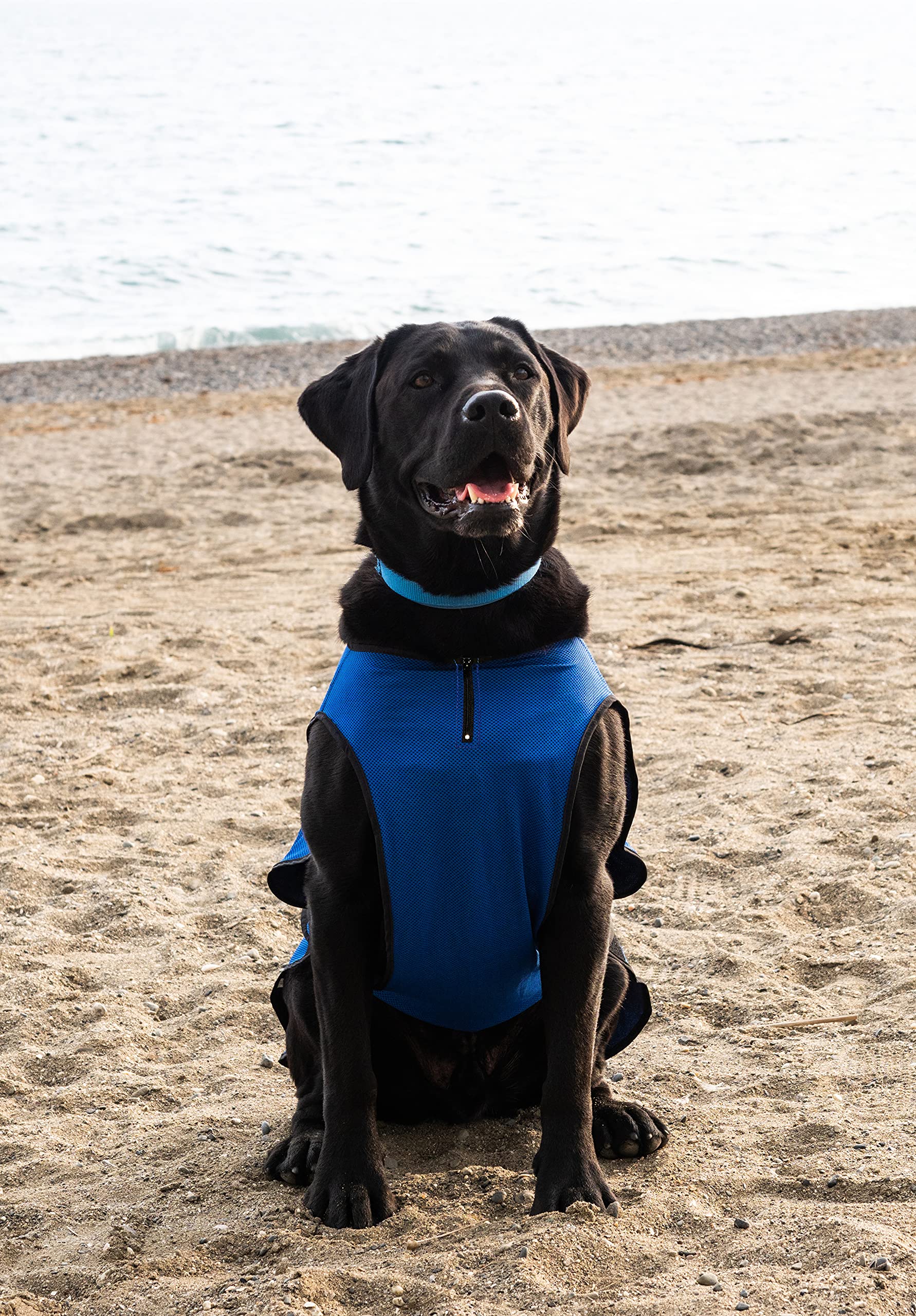 Dog Cooling Vest for Large Dogs - Lightweight & Breathable Summer Cooling Jacket (XL, 65cm, Blue) | Perfect for Outdoor Walks, Hiking & Hot Weather