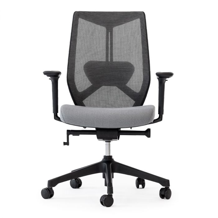 Friant Ignite Mesh Task Chair FD00253 - Ergonomic Office Chair with Adjustable Height & Lumbar Support for Home & Office Workspaces