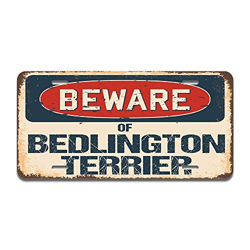 Beware of Bedlington Terrier