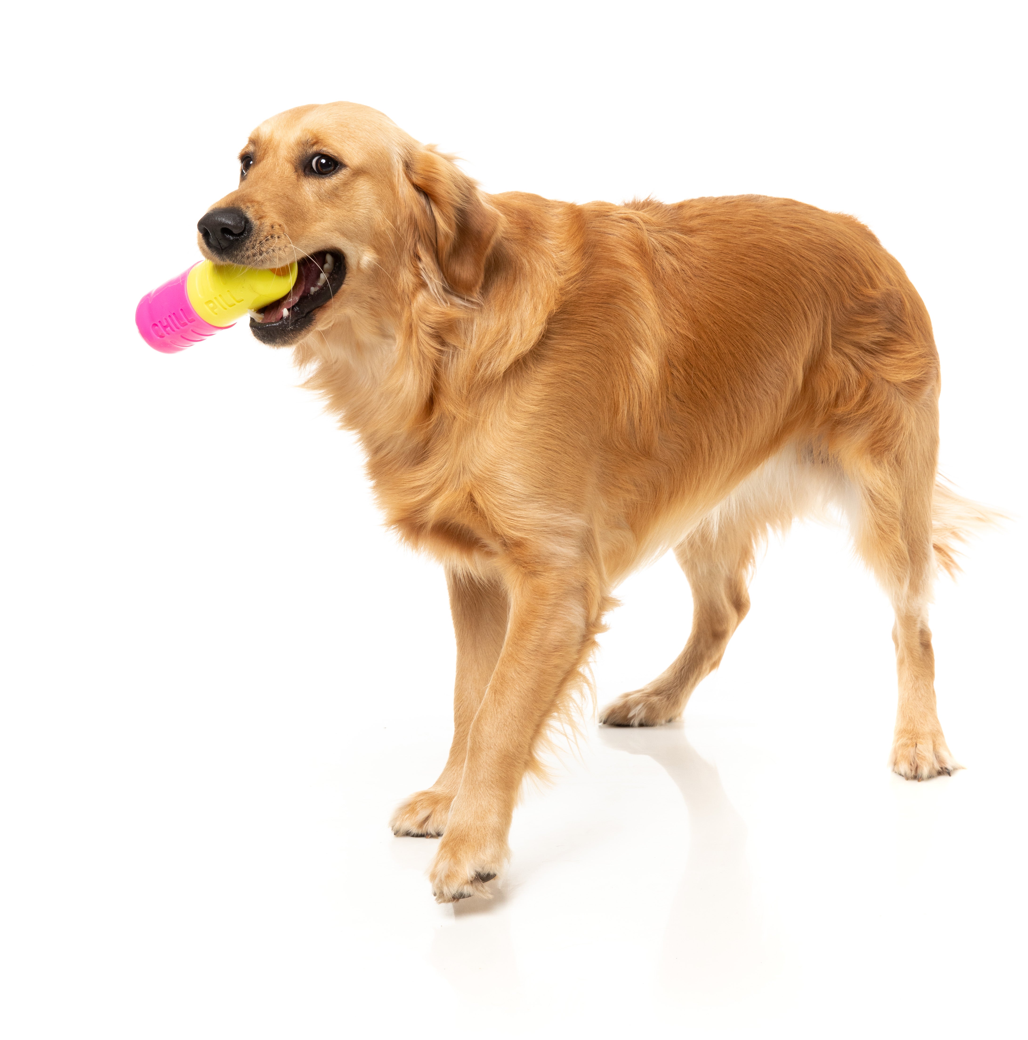 Interactive Dog Chew Toy with Treat Dispenser - Fuzzyard Chill Pill for Boredom & Anxiety Relief - Perfect for Training, Teething & Playtime