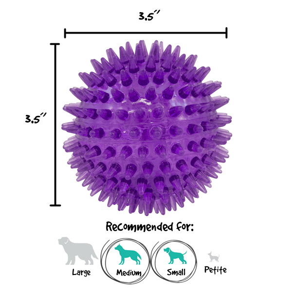 Gnawsome Medium Squeaker Ball for Dogs - Durable Chew Toy with Loud Squeaker for Interactive Play, Fetch & Training - Perfect for Small to Medium Breeds (Blue) - Indoor & Outdoor Use