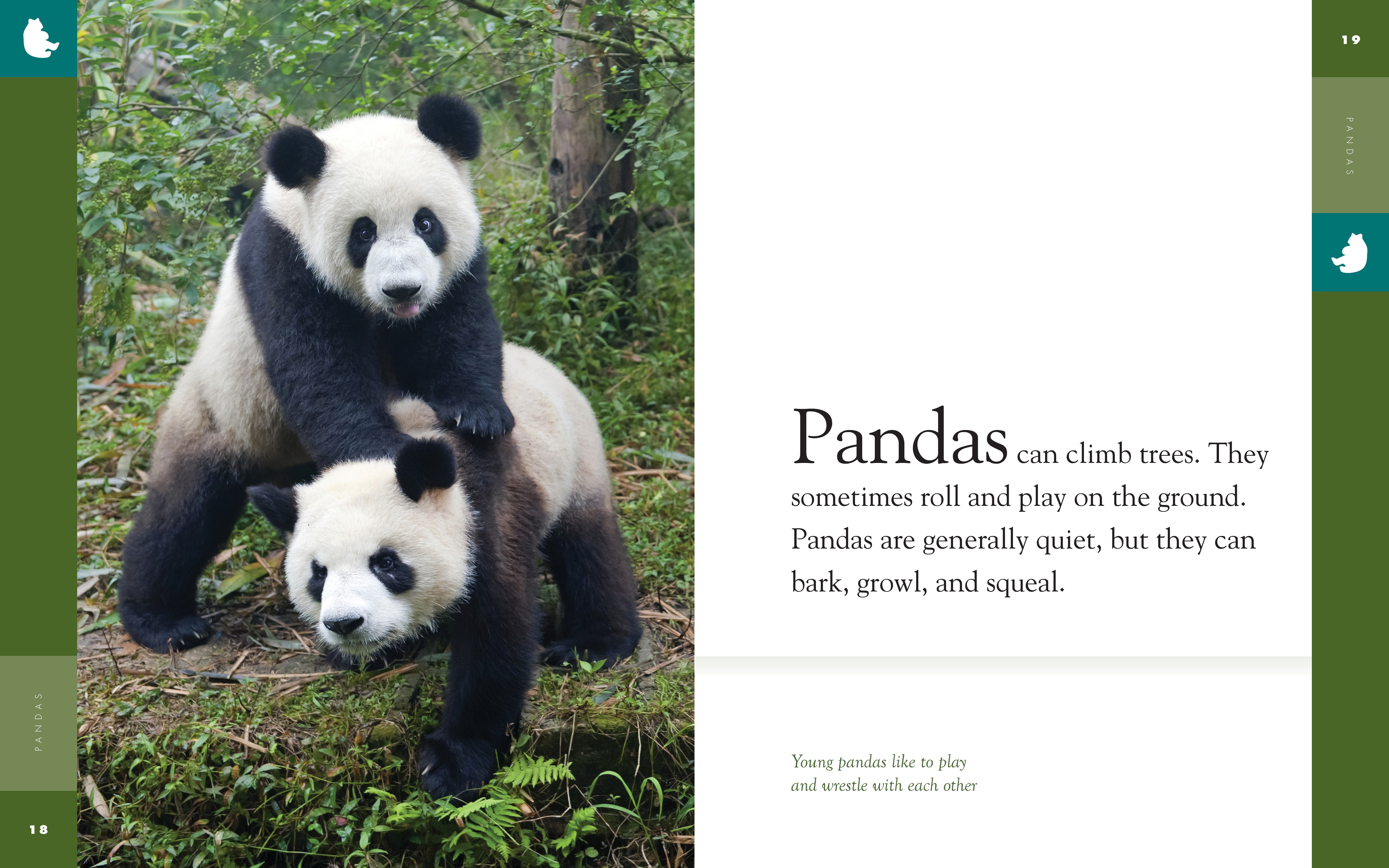 Amazing Animals (2014) - Giant Panda Documentary | Wildlife Nature Film for Kids & Adults | Perfect for Classroom Education & Family Movie Night