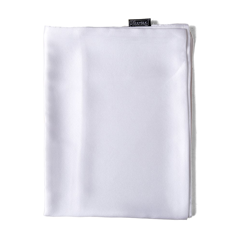 Lilysilk 100% Pure Mulberry Silk Pillowcase for Travel - 13