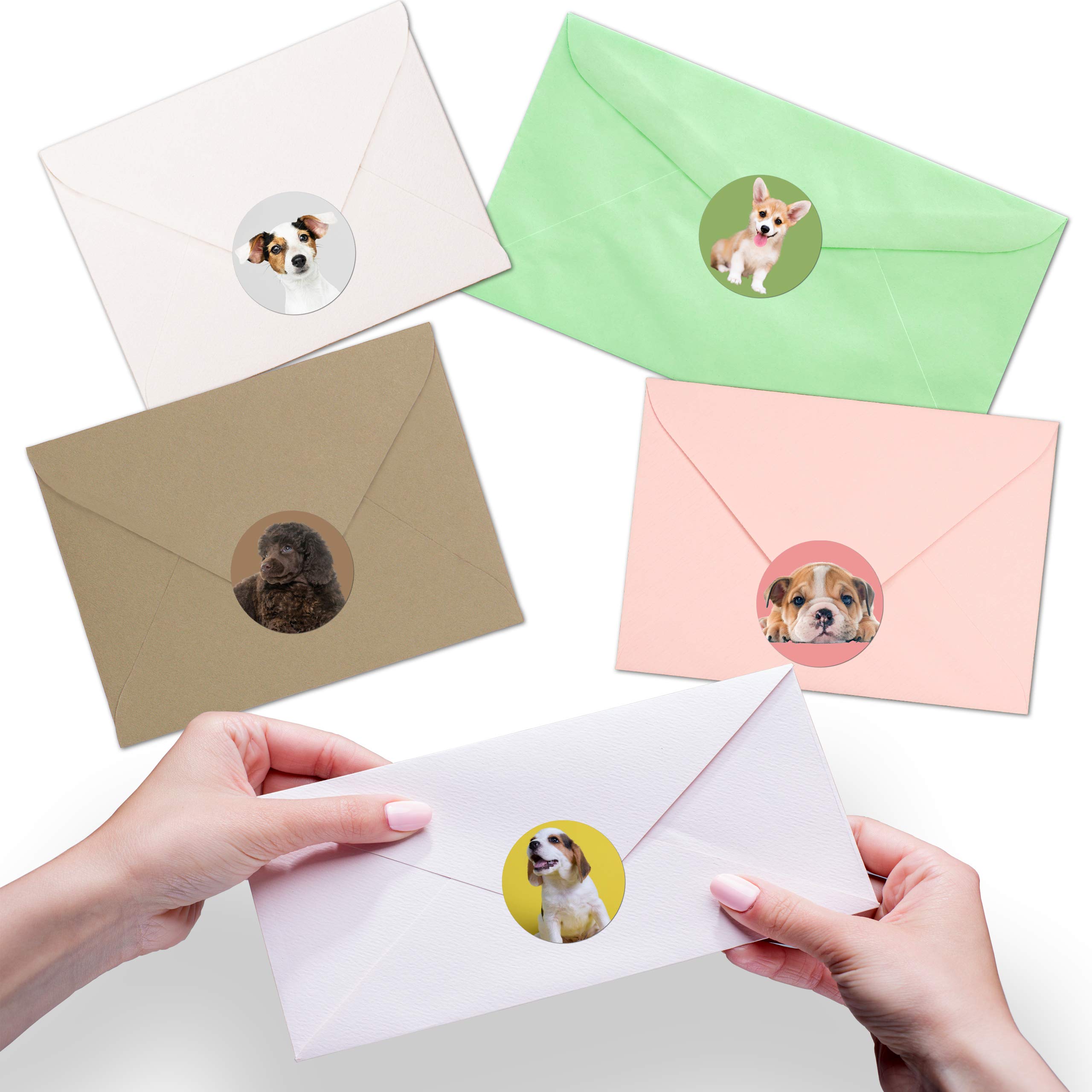 500 Fun Stickers for Kids - Puppies, Kittens, Emoji, Smileys, Trucks, Dinosaurs & More | 1.5 Inch Circle Motivational Reward Stickers | Made in USA | Perfect for School, Scrapbooking & Reward Charts