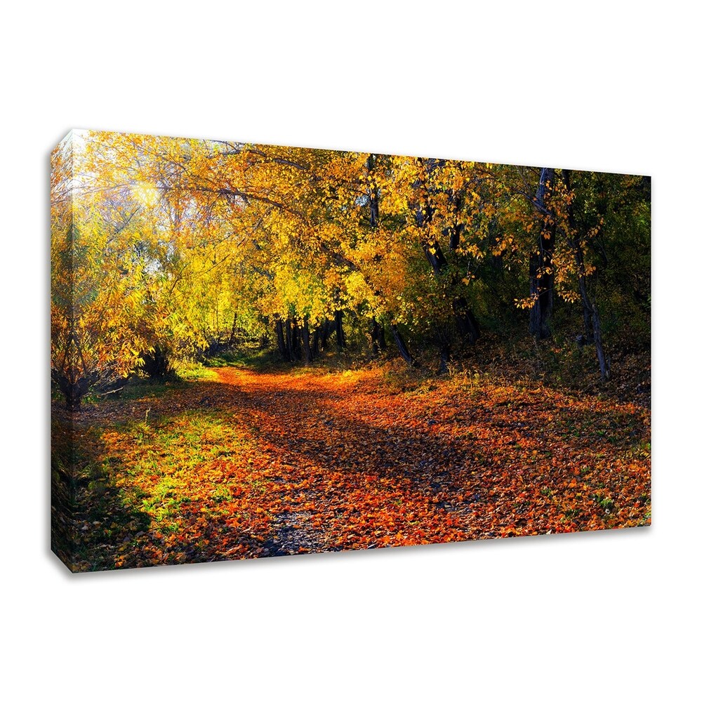 Auburn Trail - Premium Fine Art Giclee Print on Gallery Wrapped Canvas - Ready to Hang Wall Decor for Living Room, Bedroom & Office