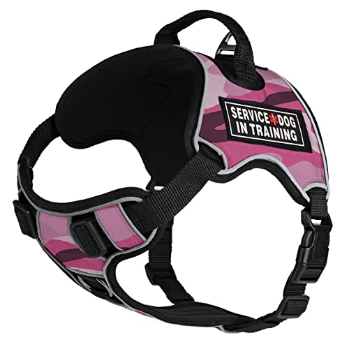 Pink Camo