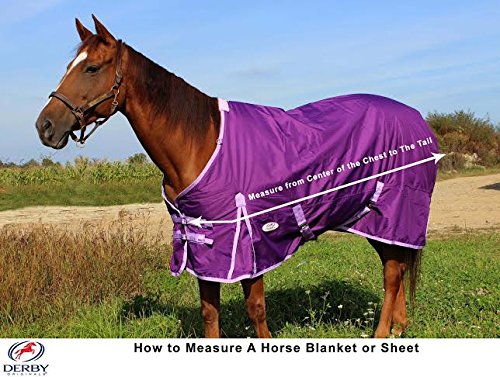 Derby Originals Classic 600D Ripstop Waterproof Winter Horse Turnout Blanket - 250g Medium Weight for Cold Weather Protection | Ideal for Stables, Riding, and Outdoor Horse Care