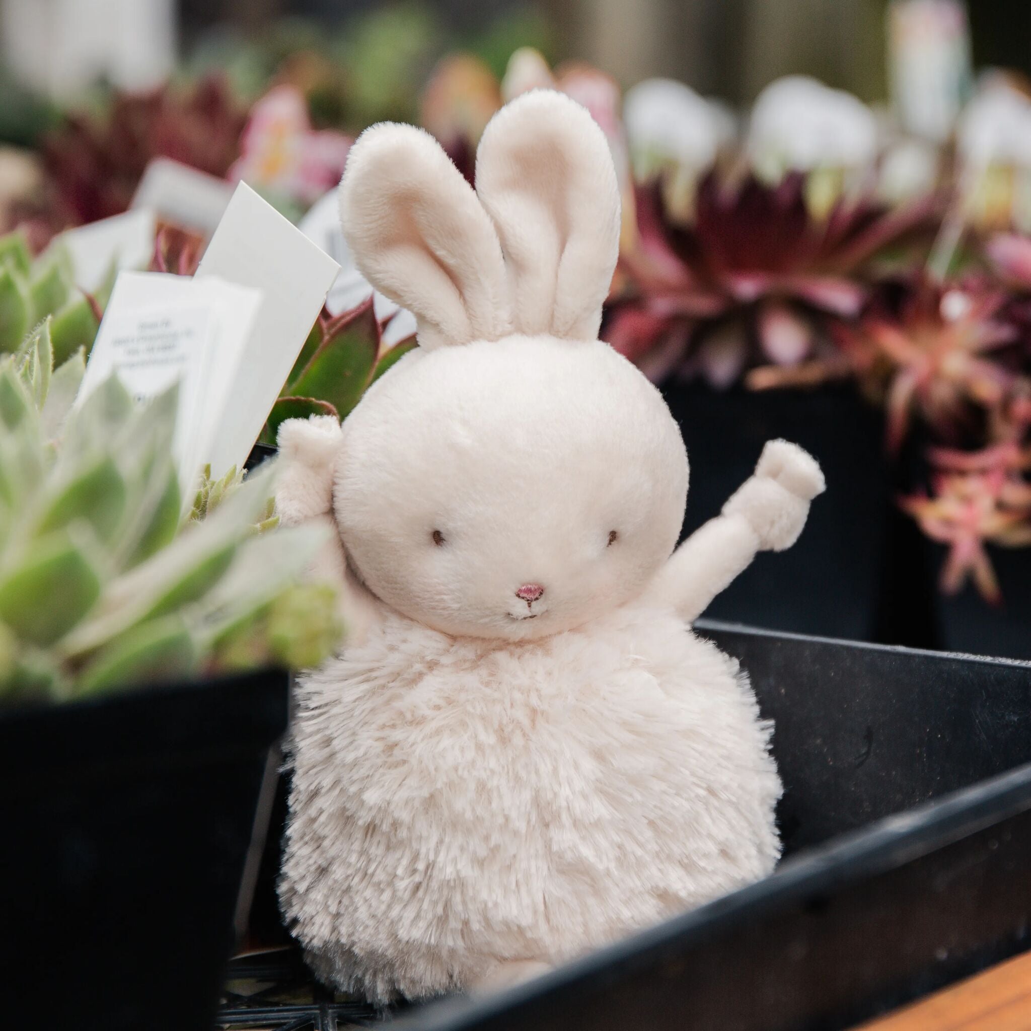 Roly Poly Rutabaga Cream Bunny Plush Toy - Soft Stuffed Animal for Kids, Cute Collectible Gift for Girls & Boys - Perfect for Nursery Decor, Birthday Presents & Cuddling