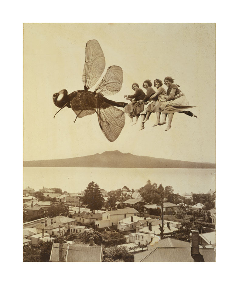 Dragonfly Over Rangitoto A2 Poster - Premium Wall Art for Home, Office & Classroom Decor - Nature Photography Print for Living Room, Bedroom & Study