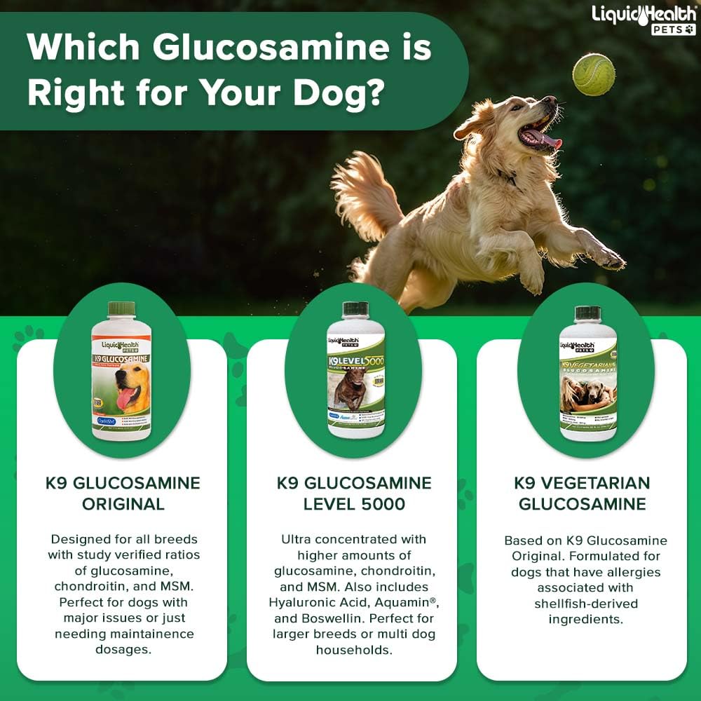 LiquidHealth 128 Oz K9 Liquid Glucosamine for Dogs - Chondroitin, MSM & Hyaluronic Acid Supplement | Supports Hip & Joint Health, Relieves Pain in Puppies & Senior Dogs | Dog Joint Oil Vitamin (1 Gallon) for Active & Aging Pets | Perfect for Daily Use & Post-Exercise Recovery
