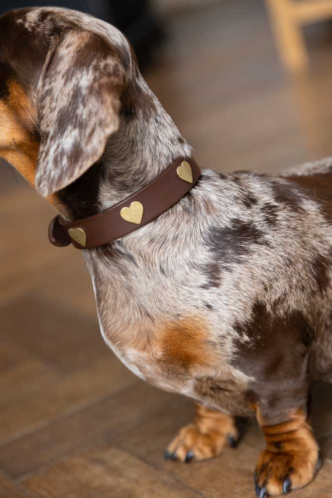 Premium Brown Leather Dog Collar with Heart Decor - Adjustable Sizes (XS-XL) for Small to Large Dogs | Perfect for Walks, Training & Fashion Accessories