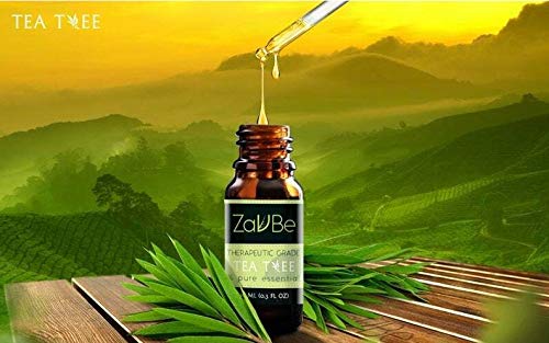 100% Pure Tea Tree Essential Oil (Melaleuca Oil) - Natural Therapeutic Grade, 4 oz (120 mL) for Skin Care, Aromatherapy & Home Cleaning