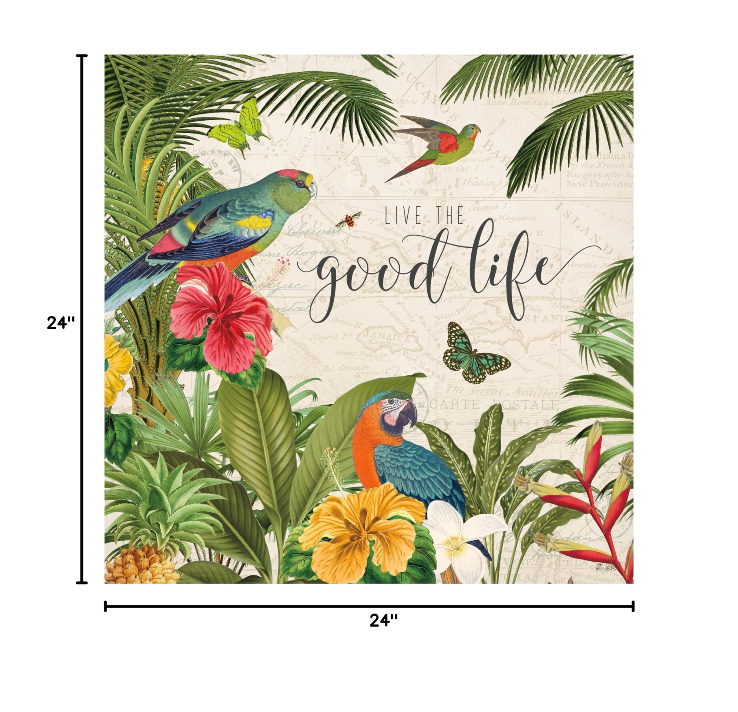 Katie Pertiet 'Parrot Paradise IV' Canvas Wall Art - Tropical Bird Painting for Living Room, Bedroom & Office Decor