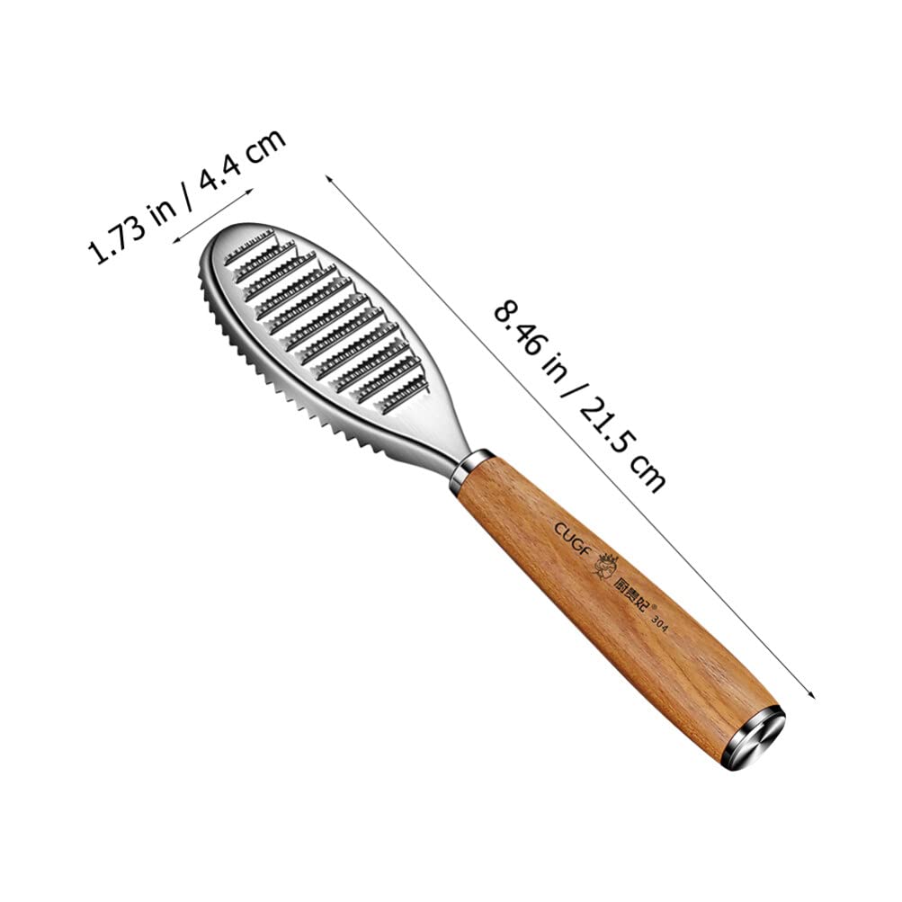 Stainless Steel Fish Scaler Brush - Professional Fish Scale Remover Tool with Sawtooth Design for Kitchen | Perfect for Cleaning Salmon, Tilapia, Bass and More | Essential Kitchen Gadget for Home Cooks & Fishermen