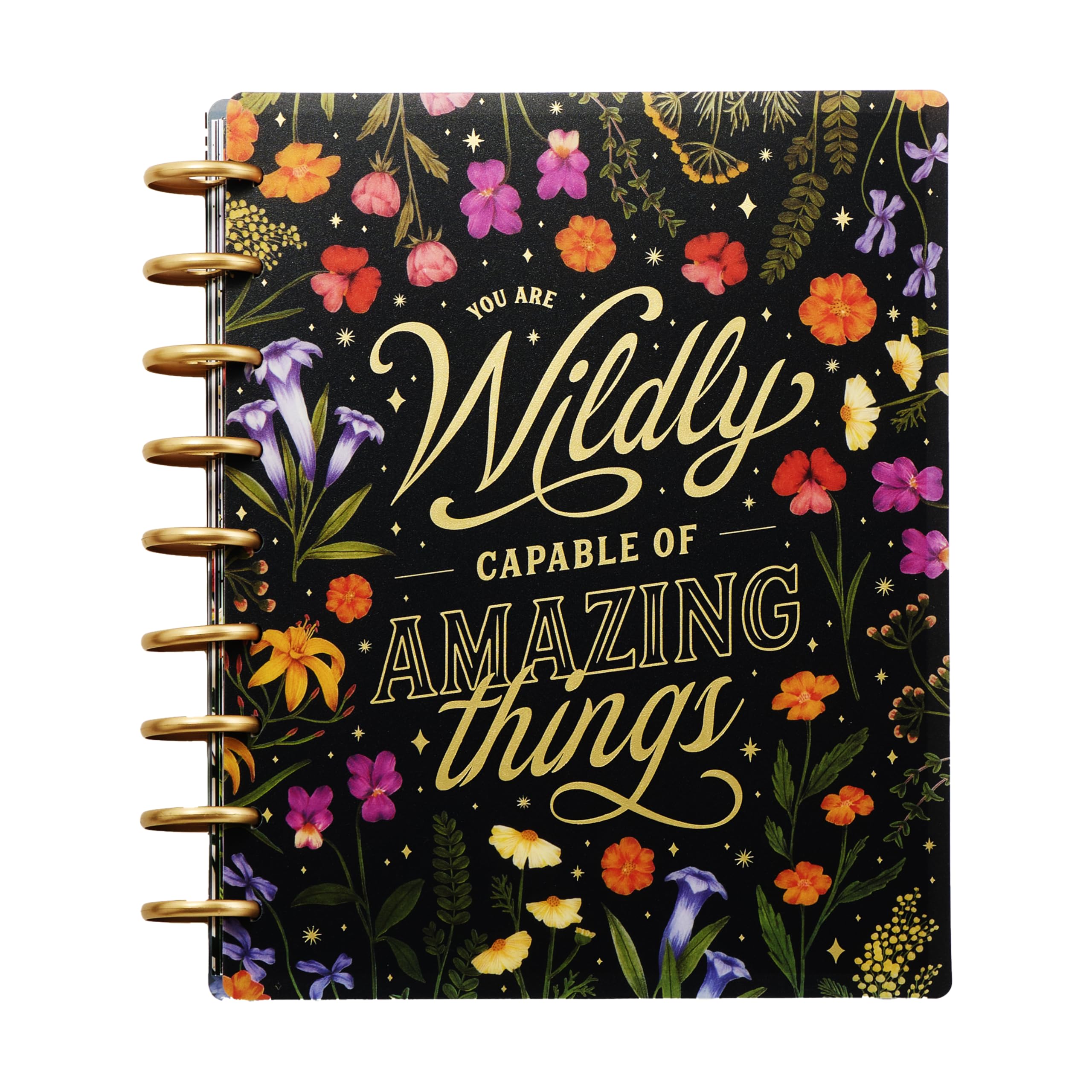 Happy Planner Disc-Bound 12-Month Planner 2025 - Classic Size (7