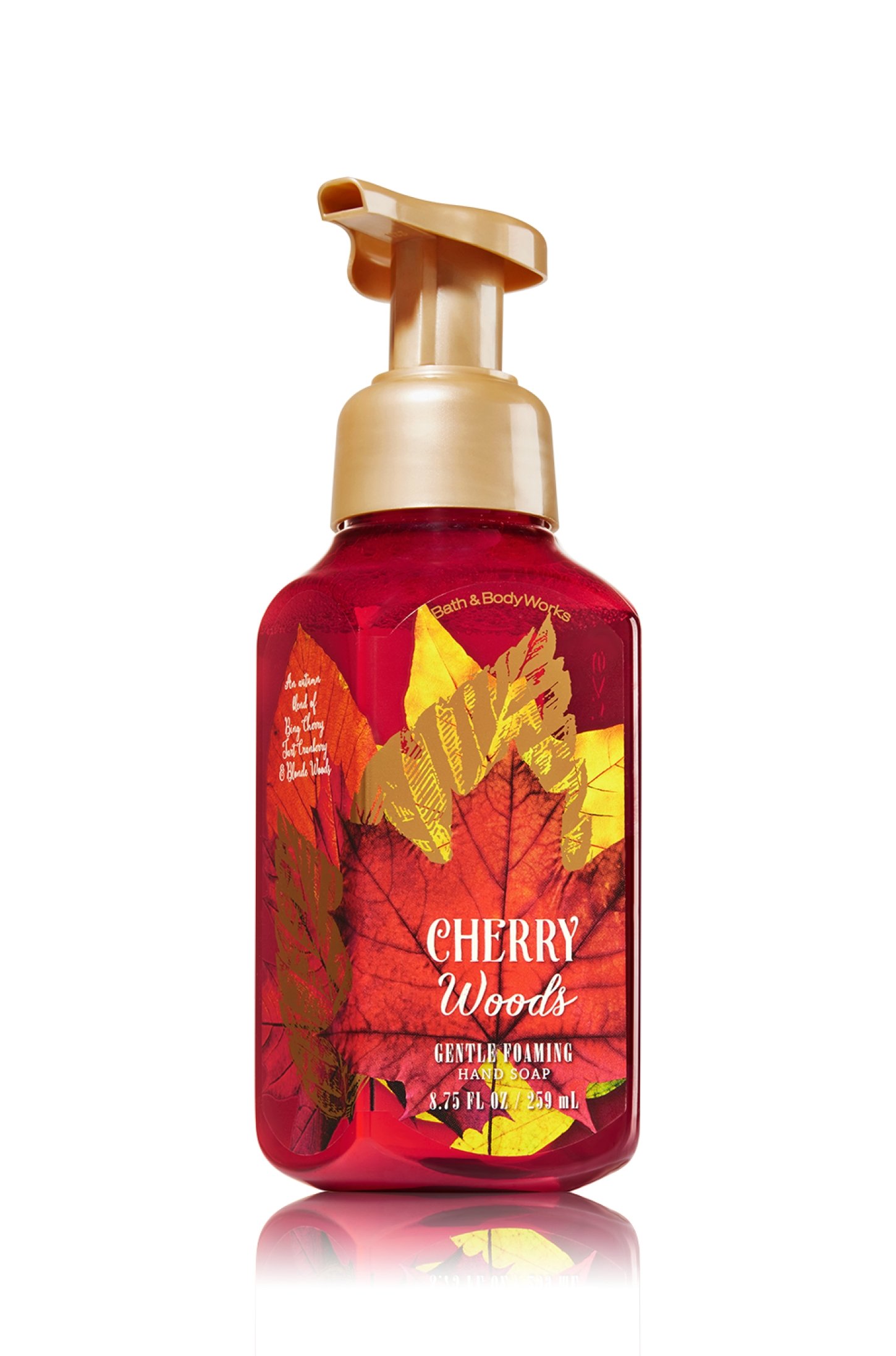 Bath & Body Works Gentle Foaming Hand Soap - Cherry Woods Scent | Moisturizing & Refreshing Hand Wash for Home, Office & Bathroom Use