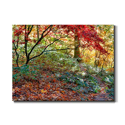 Art 40748