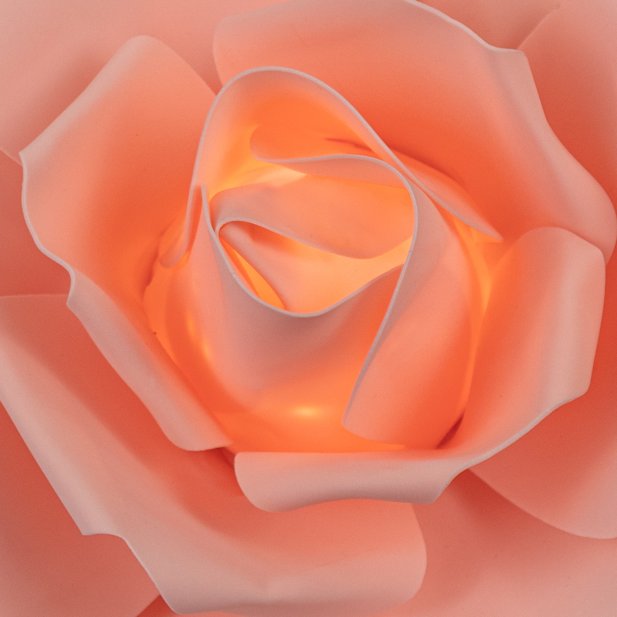 30cm LED Lighted Large Foam Rose Wall Decor - Blush Pink Romantic Home Decoration for Bedroom, Wedding, Party & Photo Backdrop
