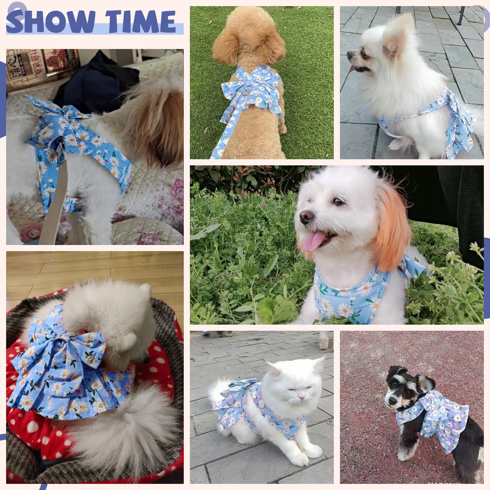 Cute Daisy Floral Dog Dress with Bowknot Harness & Leash Set - Breathable Spring Summer Outfit for Small Dogs & Cats (Blue, Medium) | Perfect for Puppy Princess Costumes, Pet Fashion & Outdoor Adventures