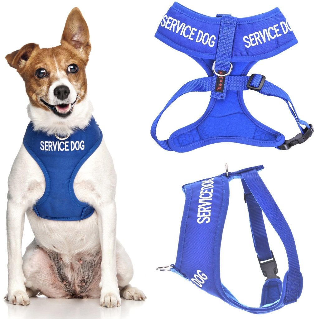 Service Dog Vest - Blue Non-Pull Padded Harness with D-Rings (Do Not Disturb/Dog Working) | Waterproof, Comfortable & Warning Design for Safety | Perfect for Therapy, Assistance & Public Outings (XS)