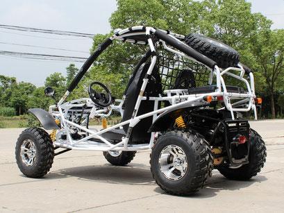 Jaguar 200 Go Kart - High Performance Racing Kart for Adults & Teens - Perfect for Outdoor Racing, Track Days & Backyard Fun