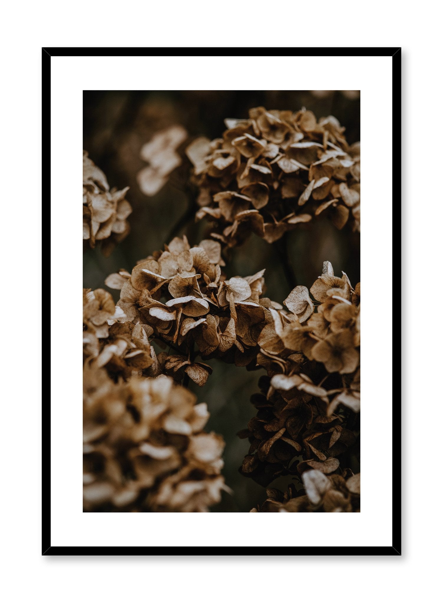 Beautiful Hydrangea Flowers Poster - Floral Wall Art for Home, Office & Wedding Decor - Perfect for Living Room, Bedroom & Gift Giving