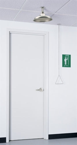 Haws 8163 Concealed Ceiling Drench Shower with Stainless Steel Shower Head - Commercial & Residential Use for Spa, Gym, and Luxury Bathrooms