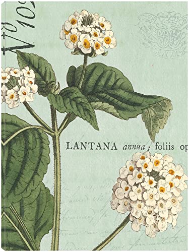 Botanique Bleu I