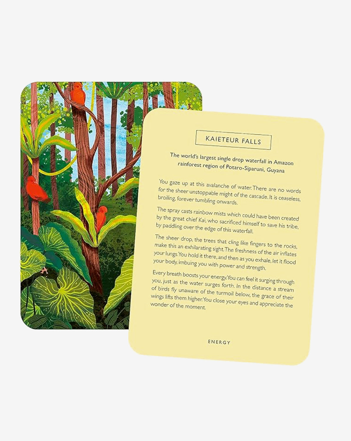 Mindful Escapes Meditation Cards - 50 Inspiring Mindfulness Prompts for Stress Relief & Relaxation | Perfect for Yoga, Therapy Sessions & Daily Self-Care Practice