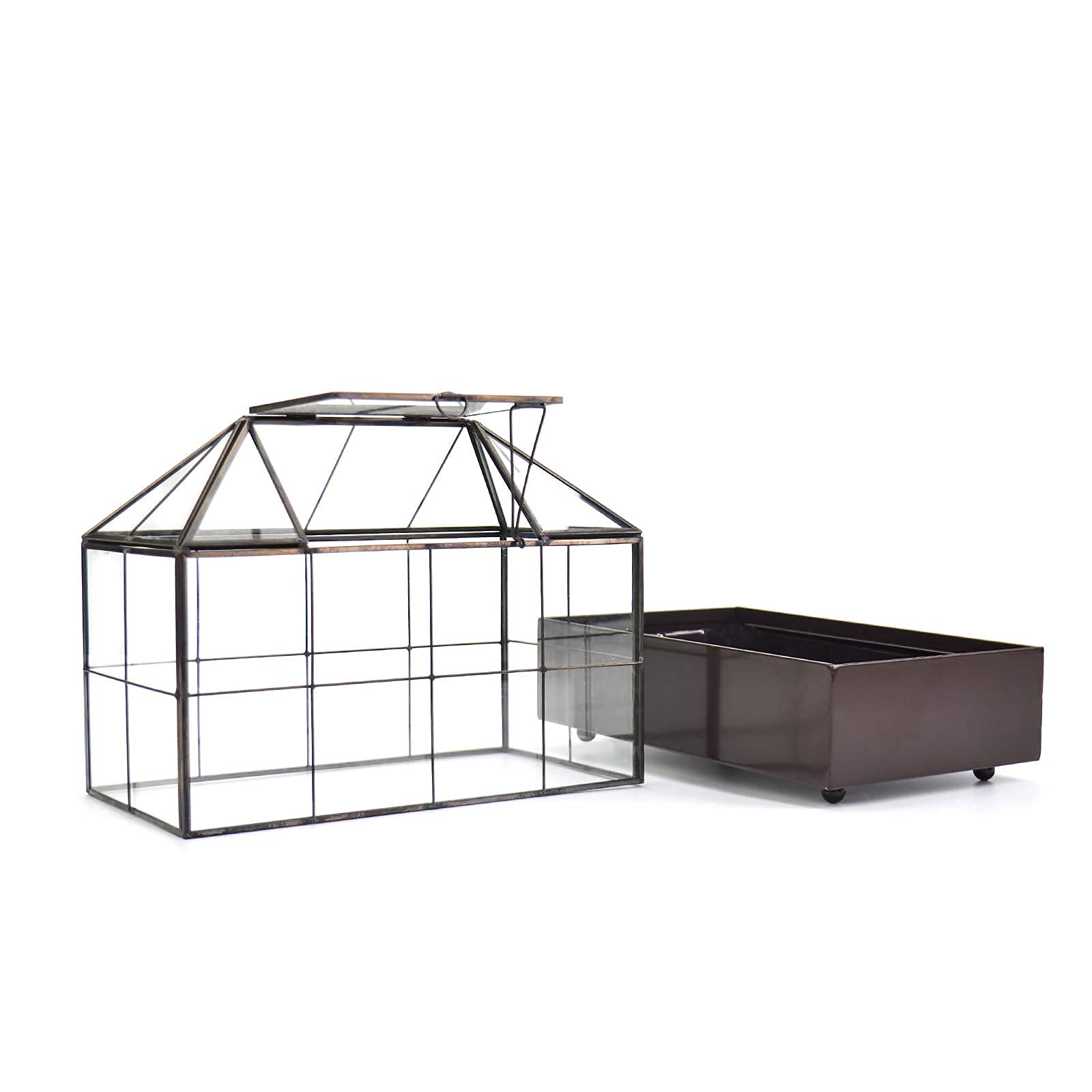 Large Glass Terrarium for Plants - 9.5