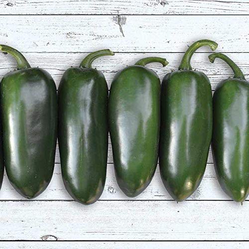 Emerald Fire F1 Hybrid Hot Pepper Seeds - 30+ Seeds Pack for Planting - Spicy Chili Peppers for Cooking, Salsas, and Home Gardening