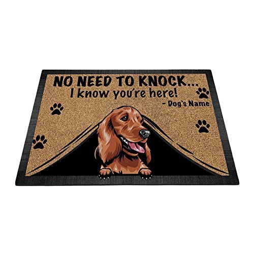 Cocker Spaniel-3