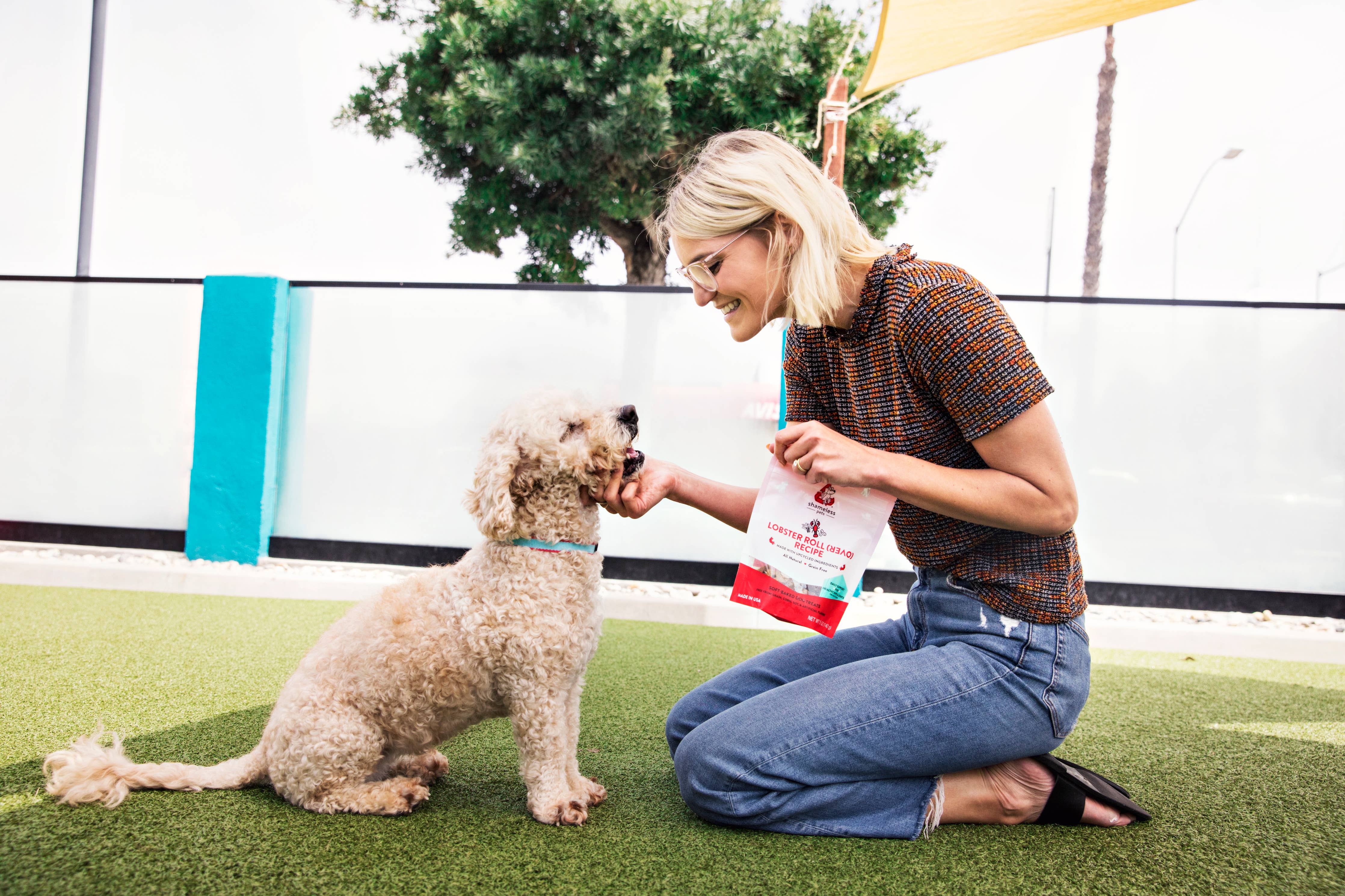 Lobster Rollover Soft Baked Dog Treats - Natural & Delicious Training Snacks for Small & Large Dogs - Perfect for Rewards, Training & Bonding Time