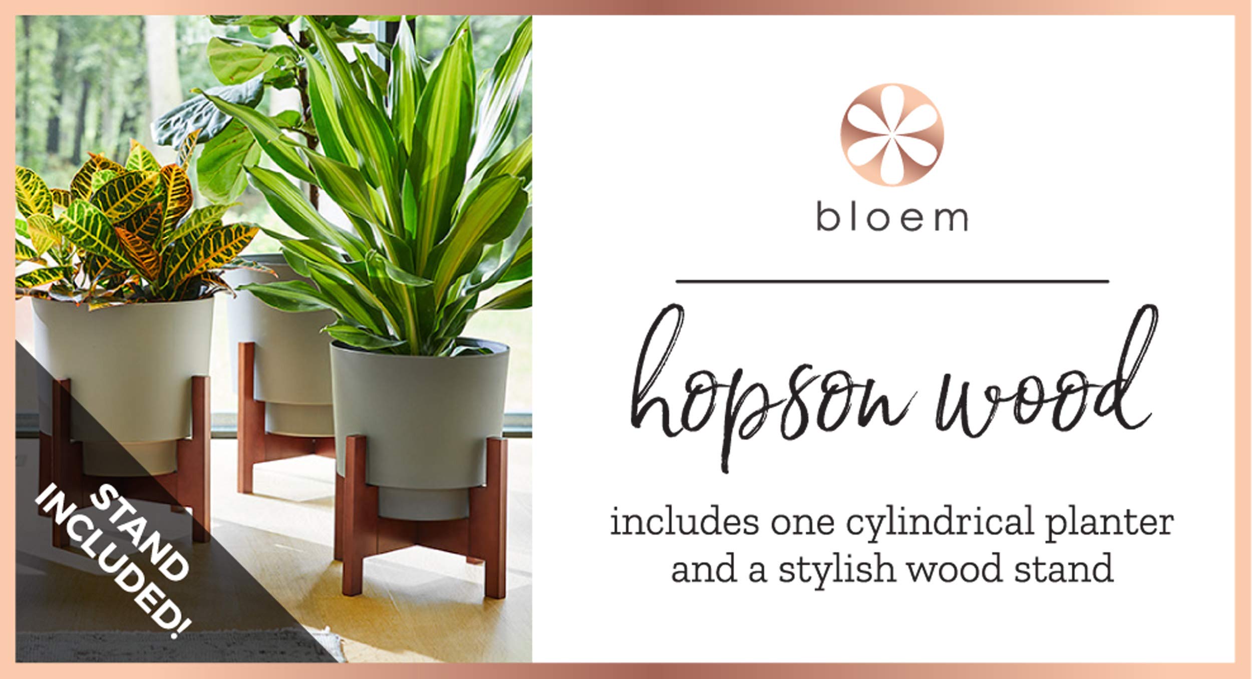 Bloem Hopson 12