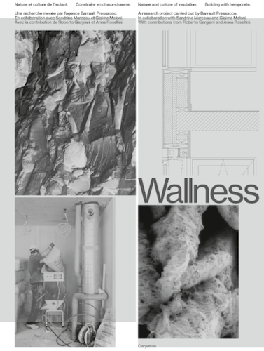 Wallness: Eco-Friendly Hempcrete Insulation for Sustainable Building - Perfect for Green Homes & Energy-Efficient Construction