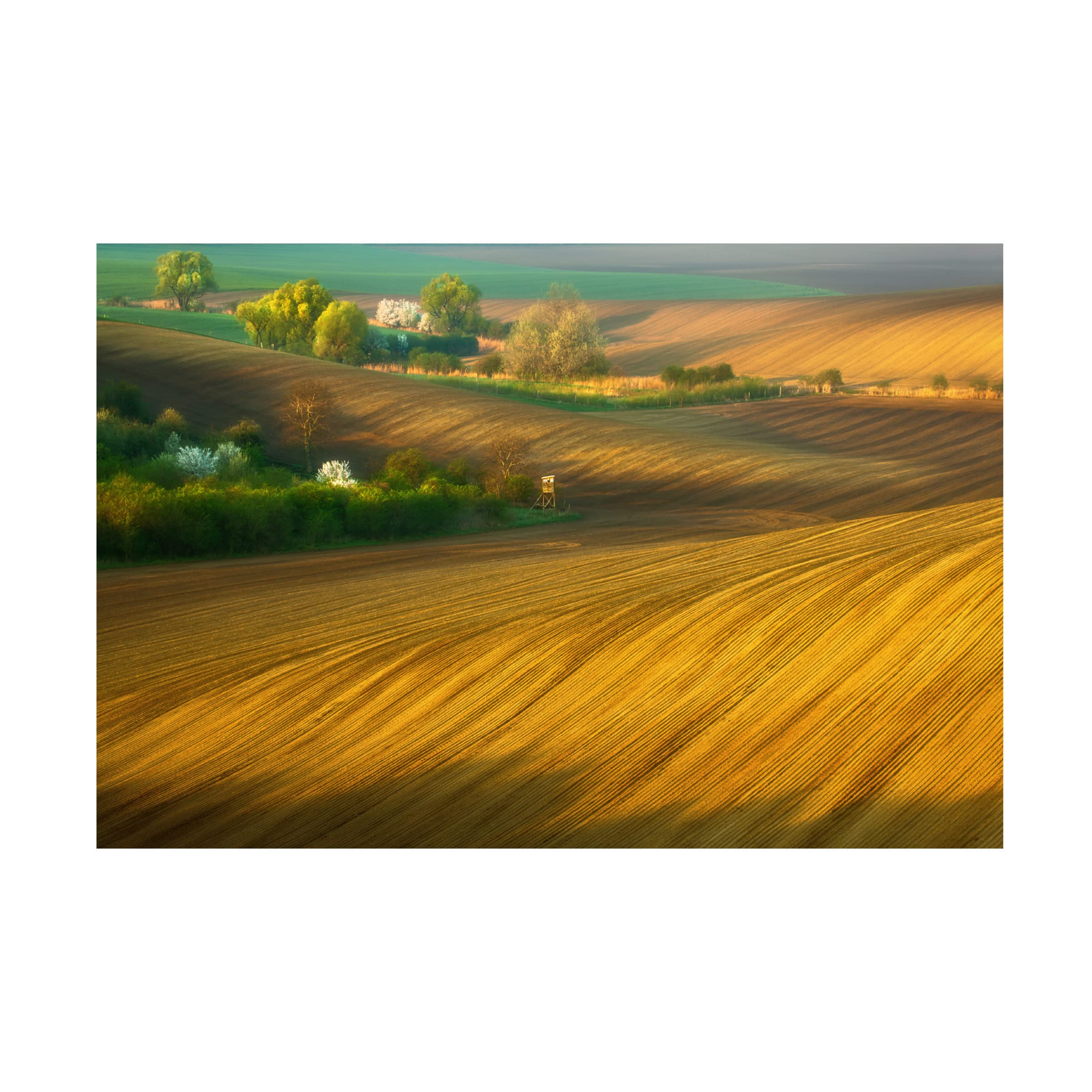 Trademark Fine Art 'Fields' Canvas Wall Art by Krzysztof Browko - Landscape Painting for Living Room, Bedroom & Office Decor