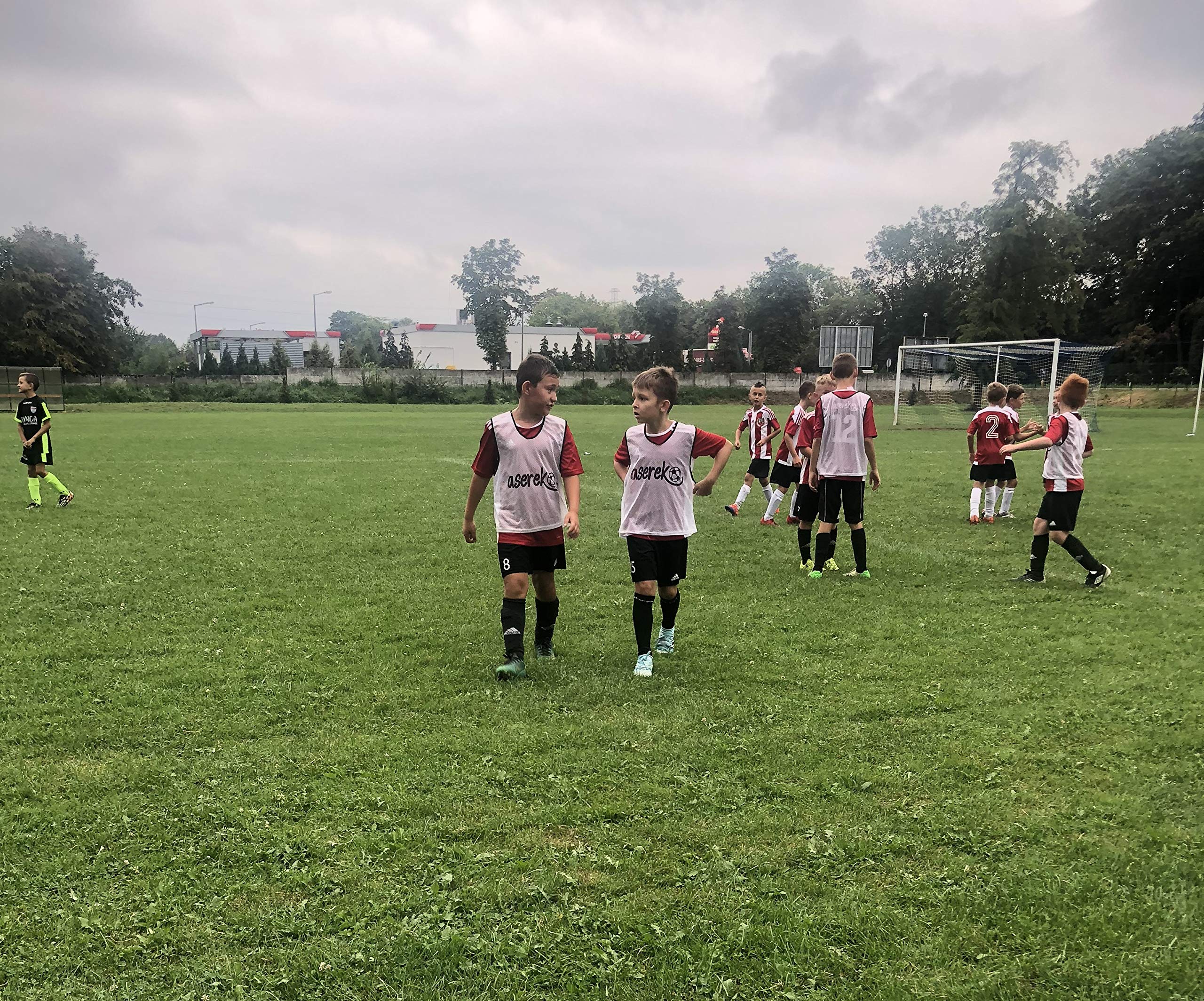 Durable Sports Bibs for Kids, Teens & Adults - Soccer, Basketball, Football & Running Practice Jerseys for Team Training & Scrimmage Games