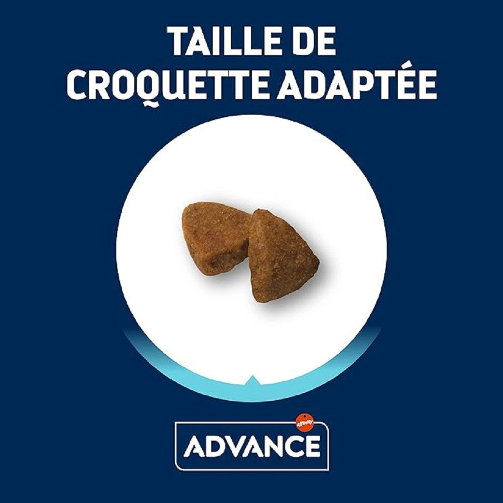 Active Defense Chicken & Rice Small Bites Dry Dog Food for Mini & Adult Dogs - High Protein, Grain-Free Kibble for Sensitive Stomachs & Skin Health - Perfect for Small Breeds, Training Treats & On-the-Go Snacking