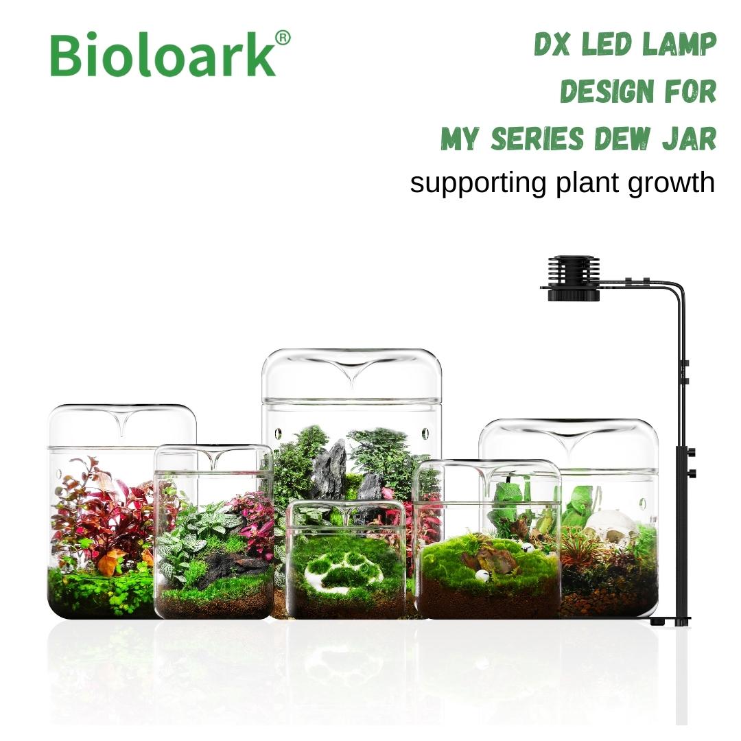 BIOLOARK Wabi Kusa LED Aquarium Light (DX Series) - Perfect for Planted Tanks, Aquascaping & Nano Aquariums
