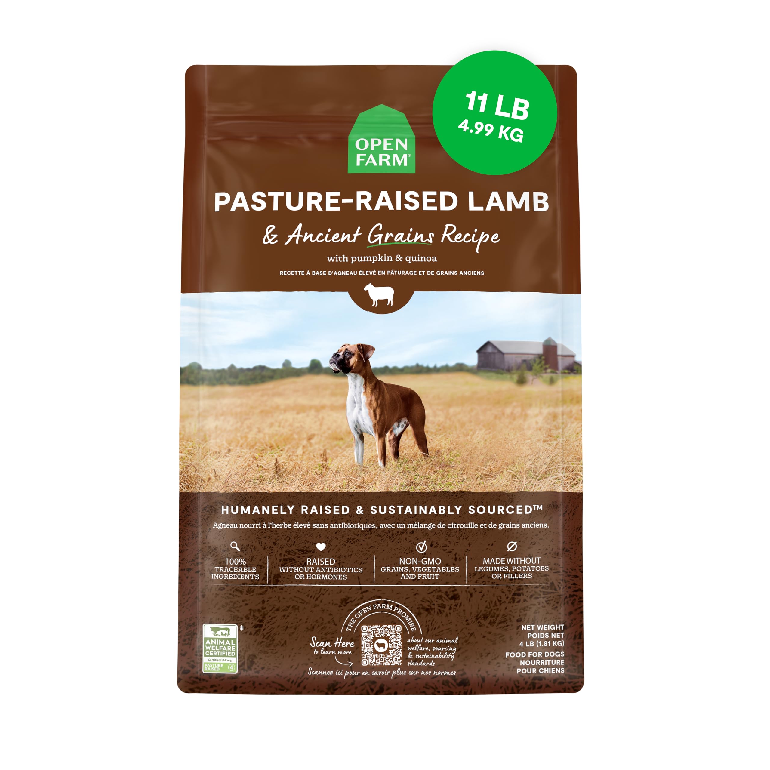Open Farm Ancient Grains Dry Dog Food - High Protein Lamb Recipe with Non-GMO Superfoods, Pasture-Raised Meat & Nutrient-Dense Ingredients for Adult Dogs (11lb Bag) | Ideal for Active Dogs & Sensitive Stomachs