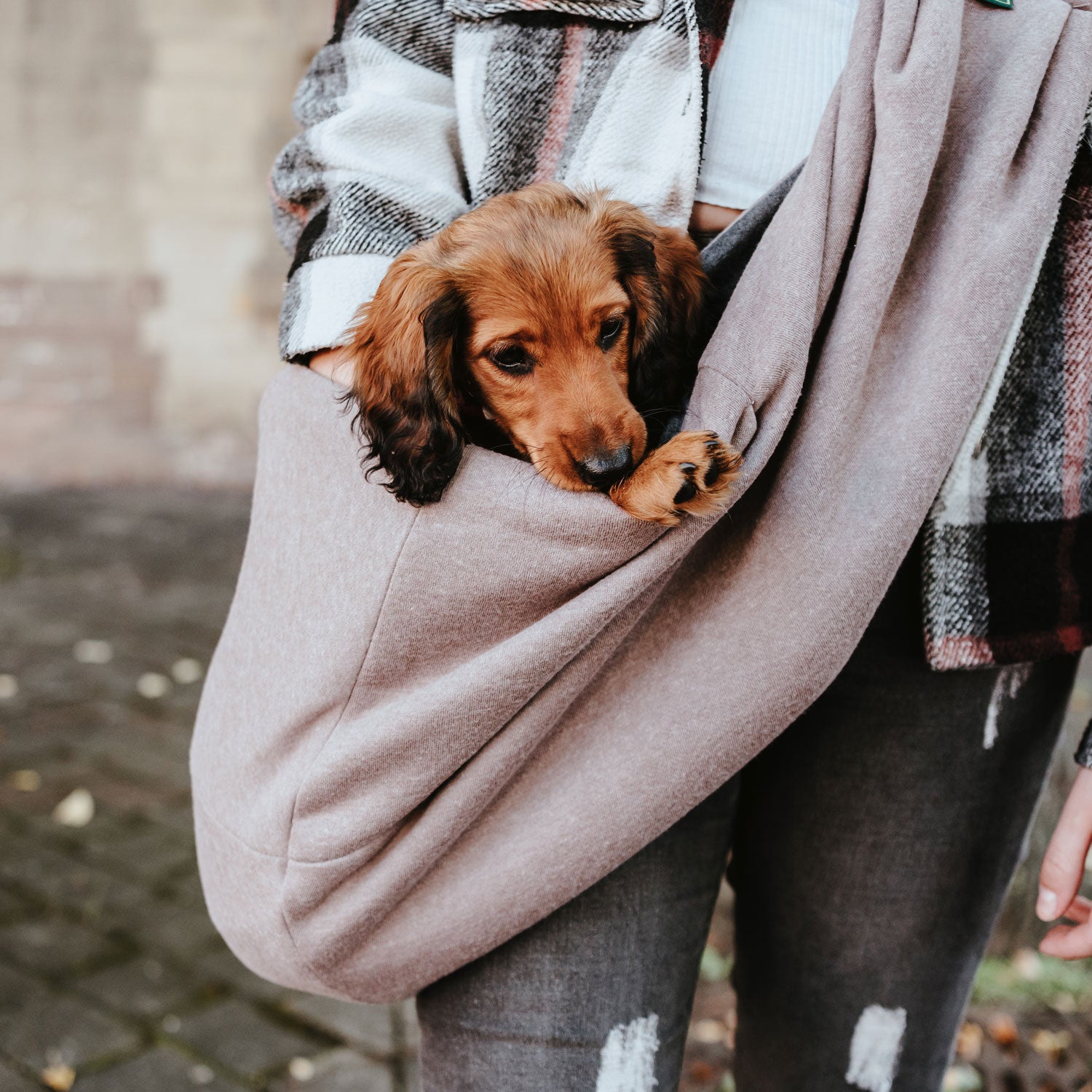 HUNTER Los Angeles Dog Carrier Sling - Hands-Free Pet Carrier for Small Dogs & Puppies - Perfect for Travel, Hiking, Shopping & Outdoor Adventures