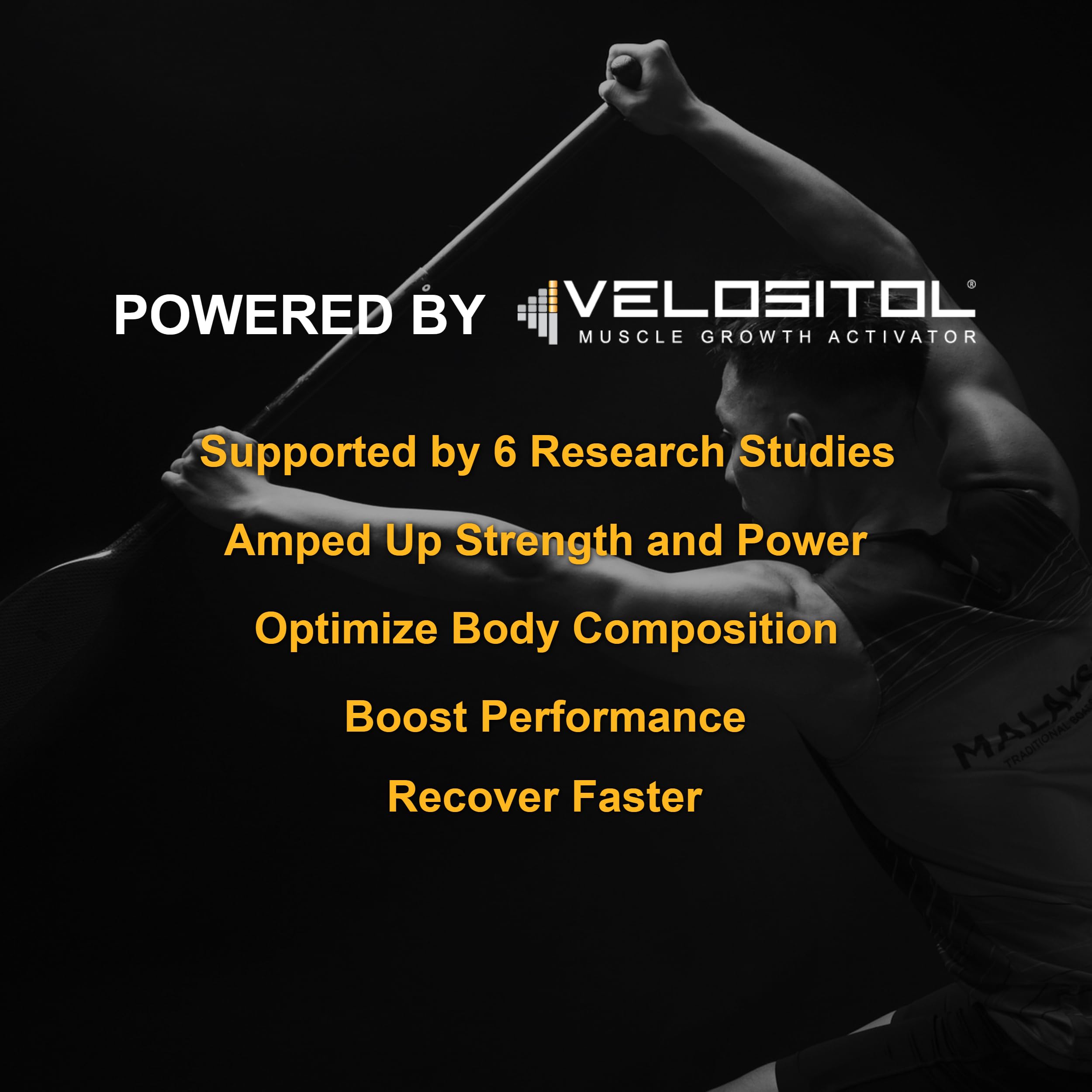 Vegan Sport Protein Powder Vanilla – 30g Plant-Based Protein with VELOSITOL, BCAAs, Organic Greens & Fruits, Probiotics, Tart Cherry for Post Workout Recovery | Inform Sports Certified Keto-Friendly | 20 Servings | Ideal for Athletes, Gym Enthusiasts & Healthy Lifestyle