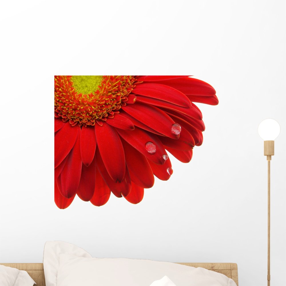 Wallmonkeys Gerbera Daisy Peel and Stick Wall Decal - 18 x 14 Inches - Removable Self-Adhesive Floral Wall Sticker for Home, Nursery, Office Decor